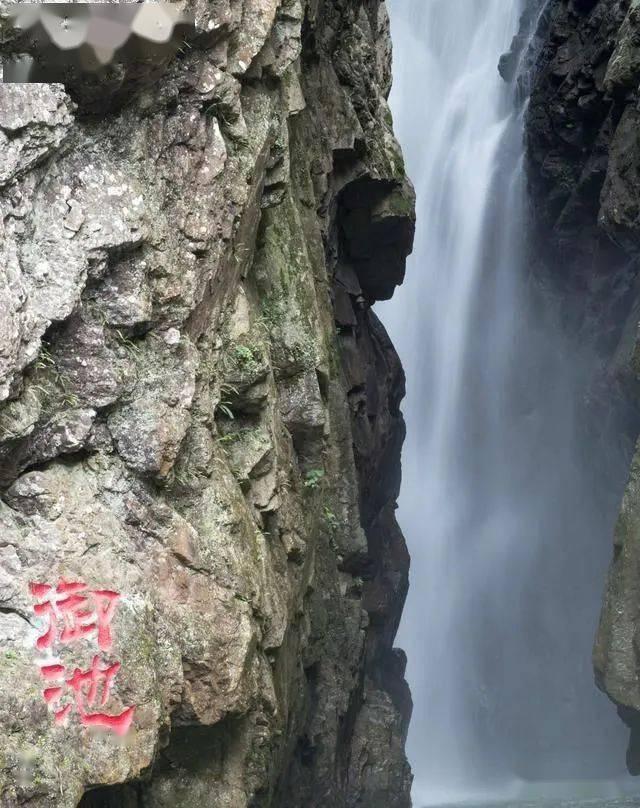 单用地平控制不好血压,想进行药物联用,选沙坦还是利尿剂