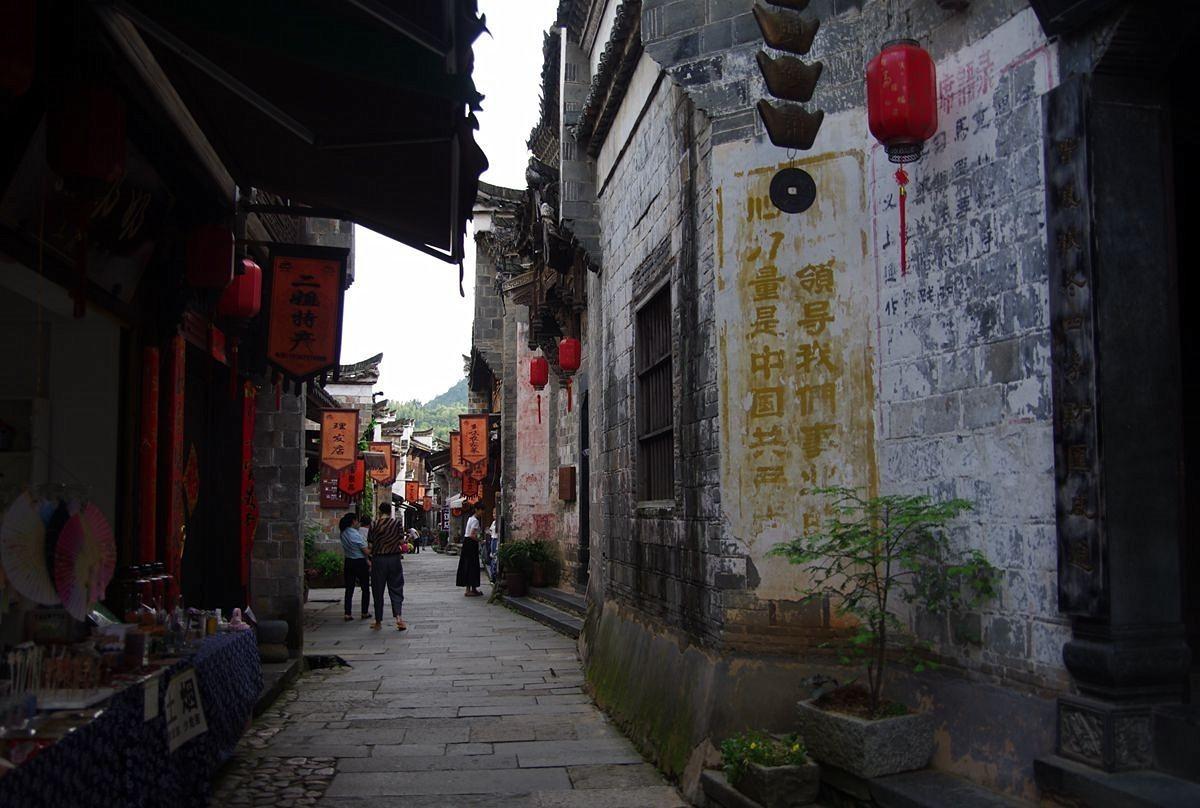 虫虫助手下载